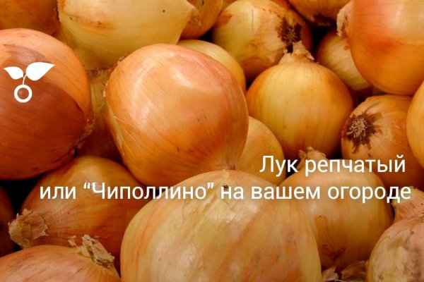 Сколько лет кракен сайт onion top